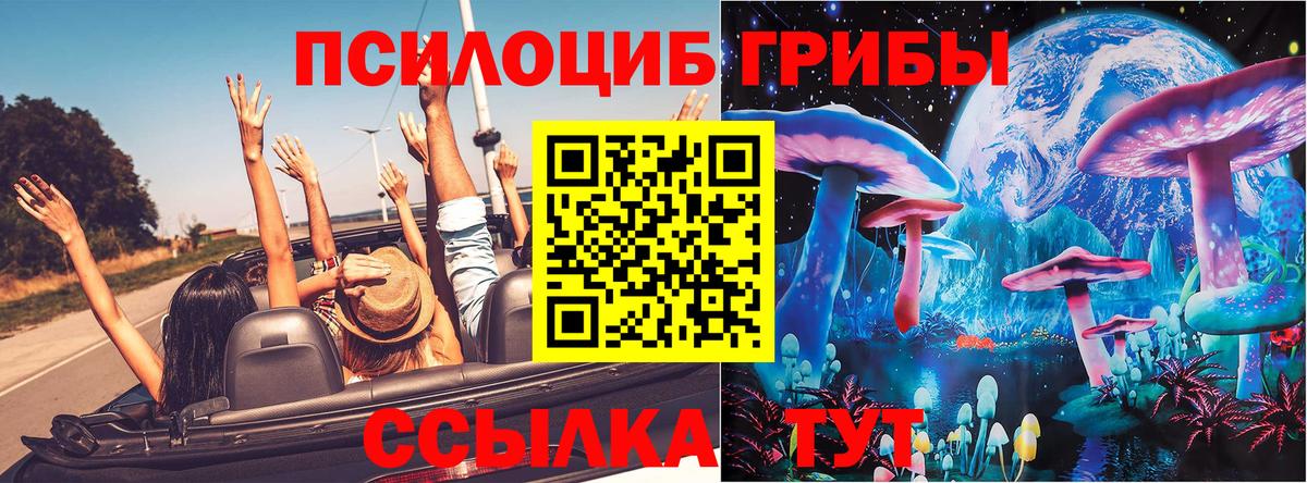 Псилоцибиновые грибы GOLDEN TEACHER  Вход с VPN  Псилоцибиновые грибы мицелий  Красноармейск 